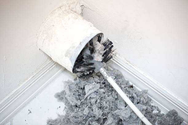 Best Air Duct Mold Removal  in Jessup, MD